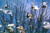 bags-in-tree