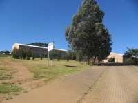 fikizolo primary1