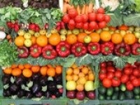 food garden1